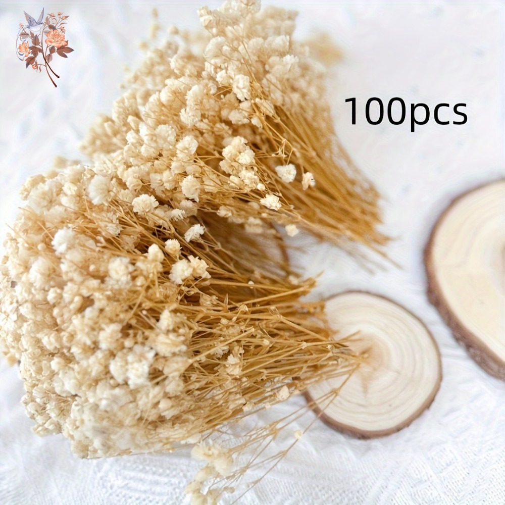100 قطعة من زهور الجيبسوفيلا ا - مراجعة Embellish Craft وسعره